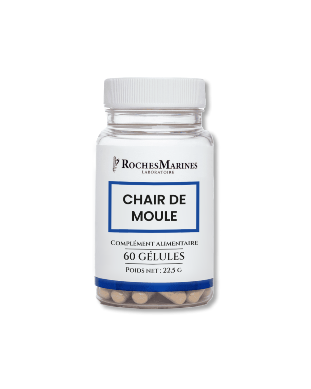 Chair de moule
