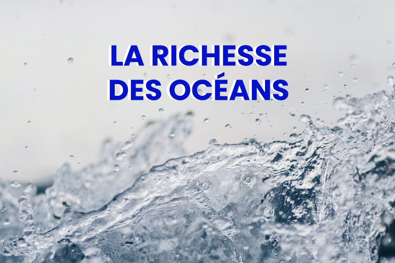 Photo La richess de la mer