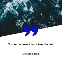 🌊 Aimer l'océan, c'est aimer la vie
Mustapha Radid

#citation #ocean #nature #life #lovesea